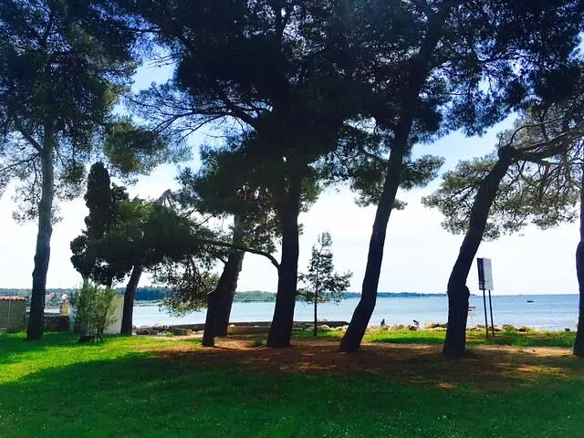 Ferienwohnung in Umag mit Pool 999212843 40407 – Foto 4