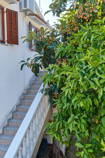 Ferienwohnung in Losinj  999211494 39263 – Foto 8