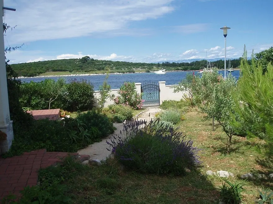 Ferienwohnung in Ilovik  999211034 38857 – Foto 16