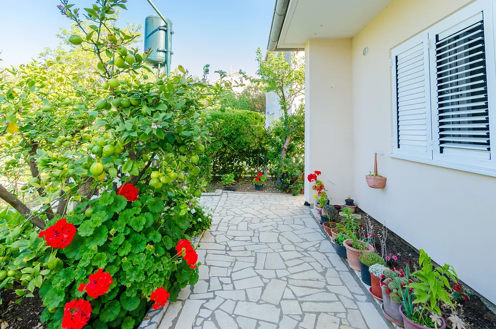 Ferienwohnung in Barbat  999209256 37183 – Foto 9
