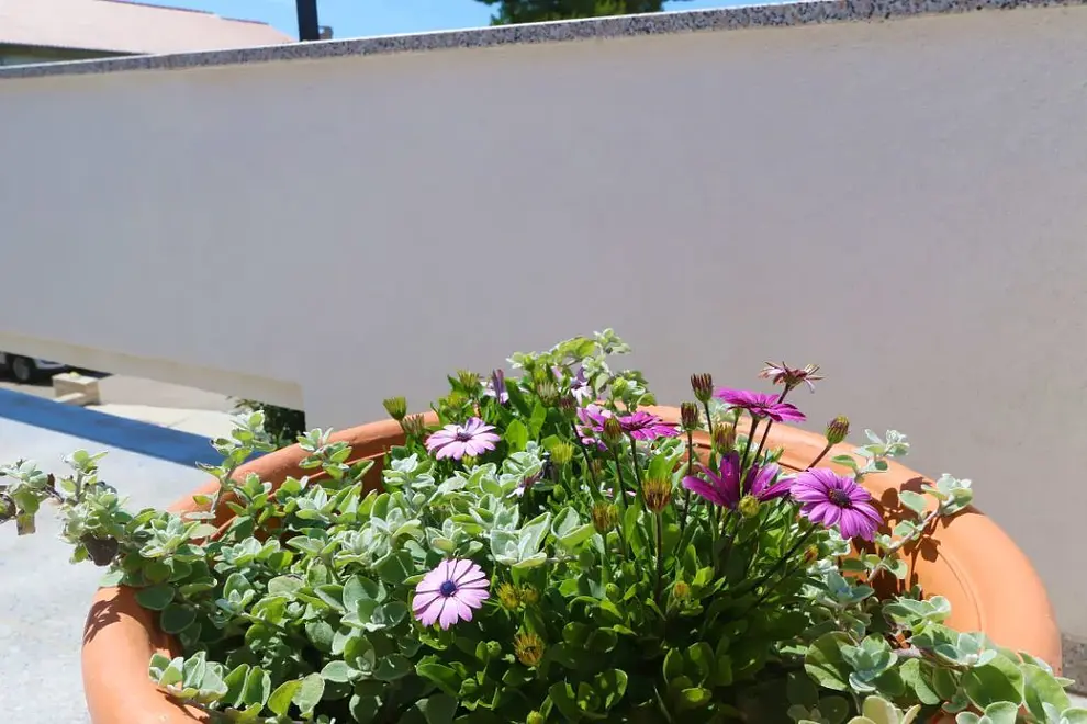 Ferienwohnung in Novalja  66115263 18985