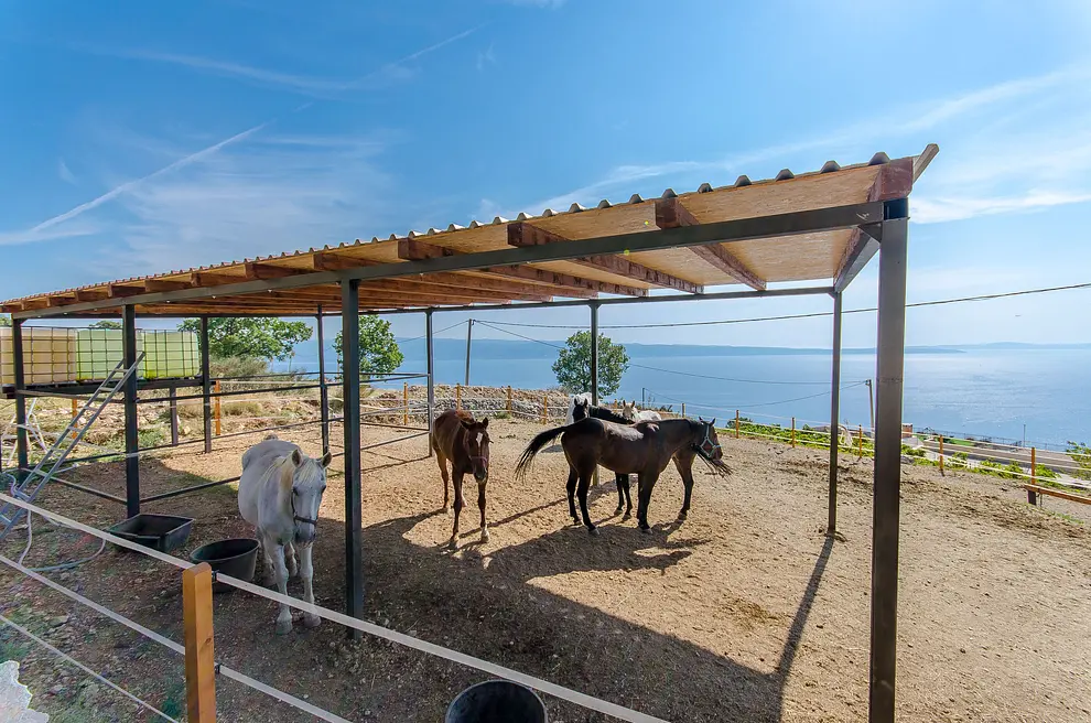 Ferienwohnung in Podstrana mit Pool 999205255 33422 – Foto 35
