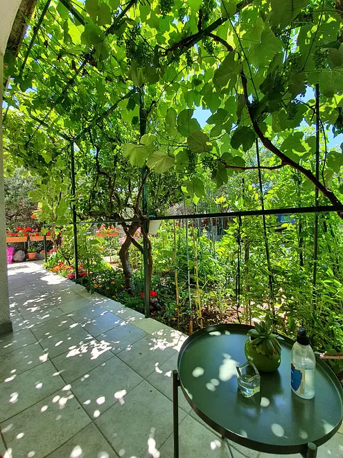 Ferienwohnung in Rogoznica  999202340 30647 – Foto 16