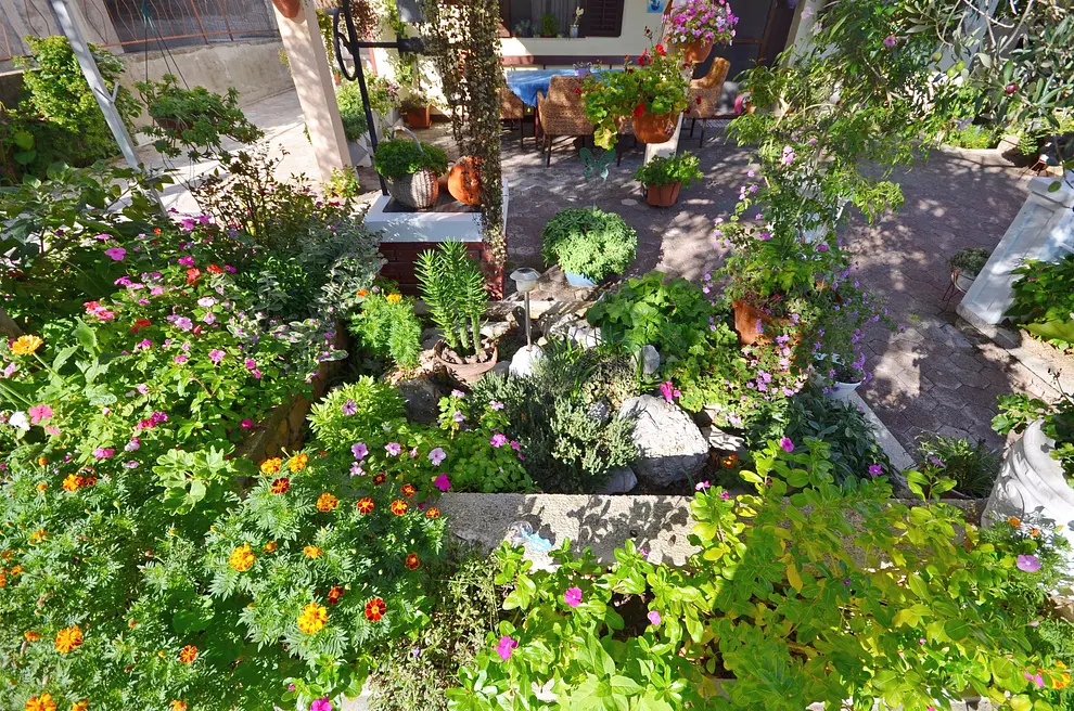 Ferienwohnung in Murter mit Pool 999203135 31392 – Foto 15