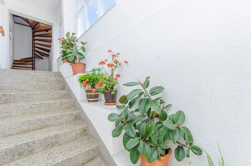 Ferienwohnung in Starigrad  999203209 31465 – Foto 27