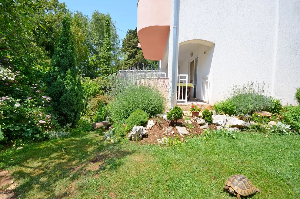 Ferienwohnung in Novi Vinodolski  999203180 31436 – Foto 7