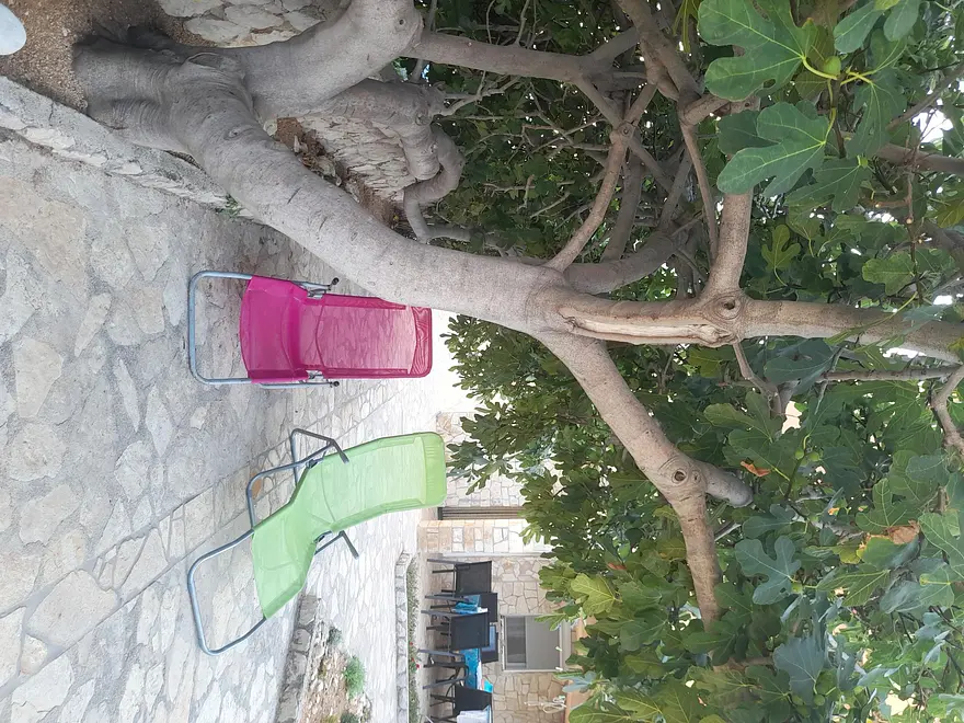 Ferienwohnung in Pag  999208440 36406 – Foto 31