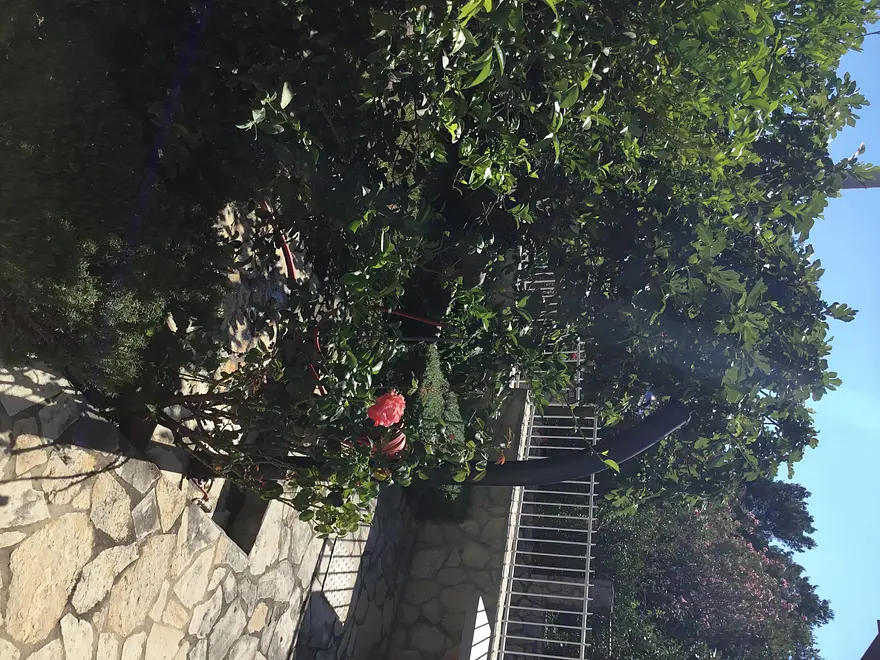 Ferienwohnung in Starigrad  999205617 33759 – Foto 28