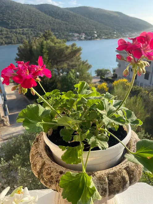 Ferienwohnung in Sibenik  999203014 31273 – Foto 11