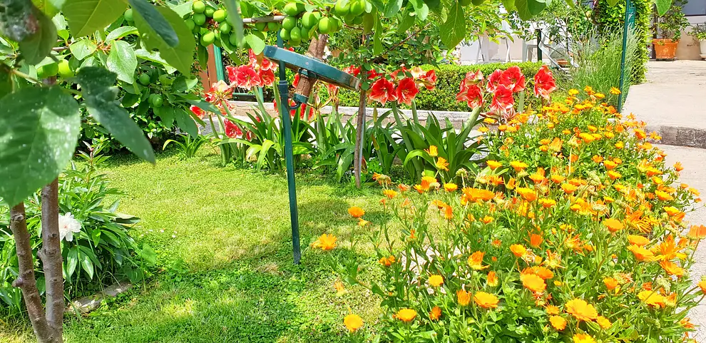 Ferienwohnung in Bibinje  999203064 31323 – Foto 43