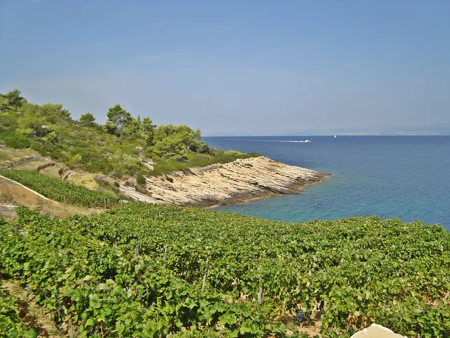 Ferienwohnung in Brac haustiergeeignet 999202903 31172 – Foto 15