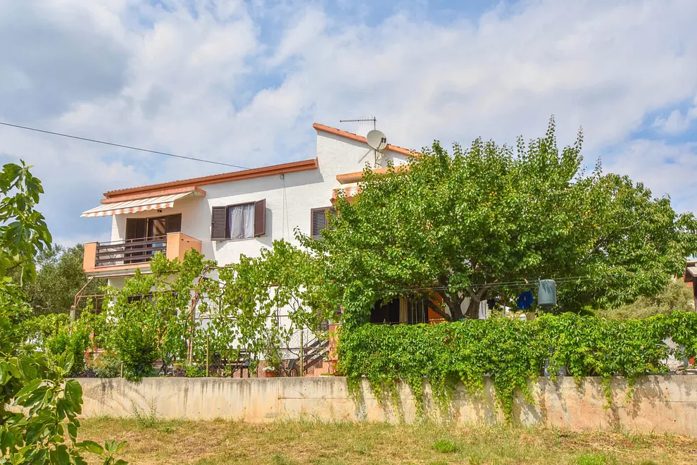 Ferienwohnung in Biograd haustiergeeignet 66117739 6327