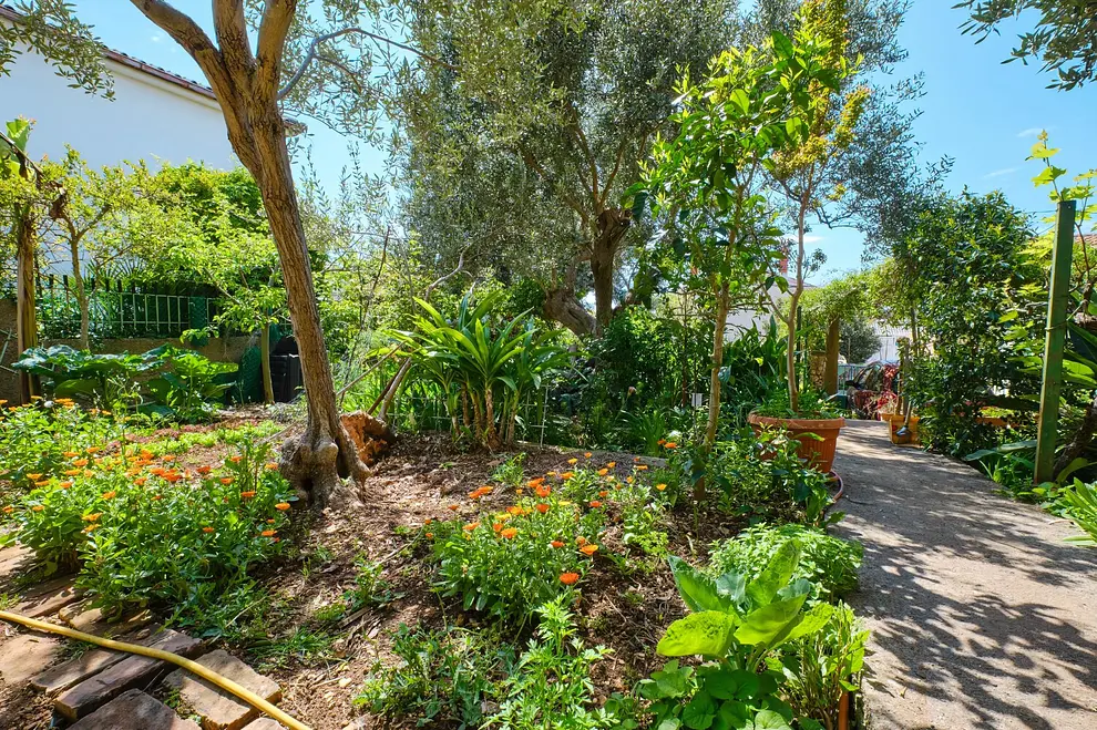 Ferienwohnung in Losinj  999211205 39017 – Foto 34