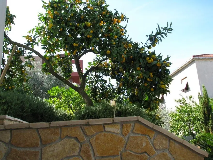 Ferienwohnung in Ciovo  999203245 31501