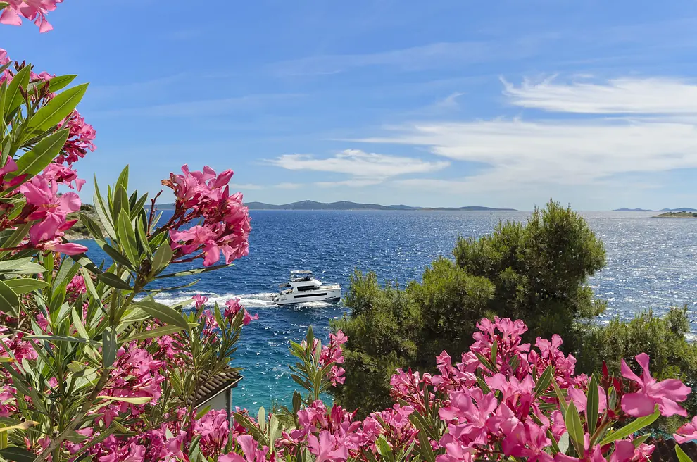 Ferienwohnung in Tribunj  66136731 20227