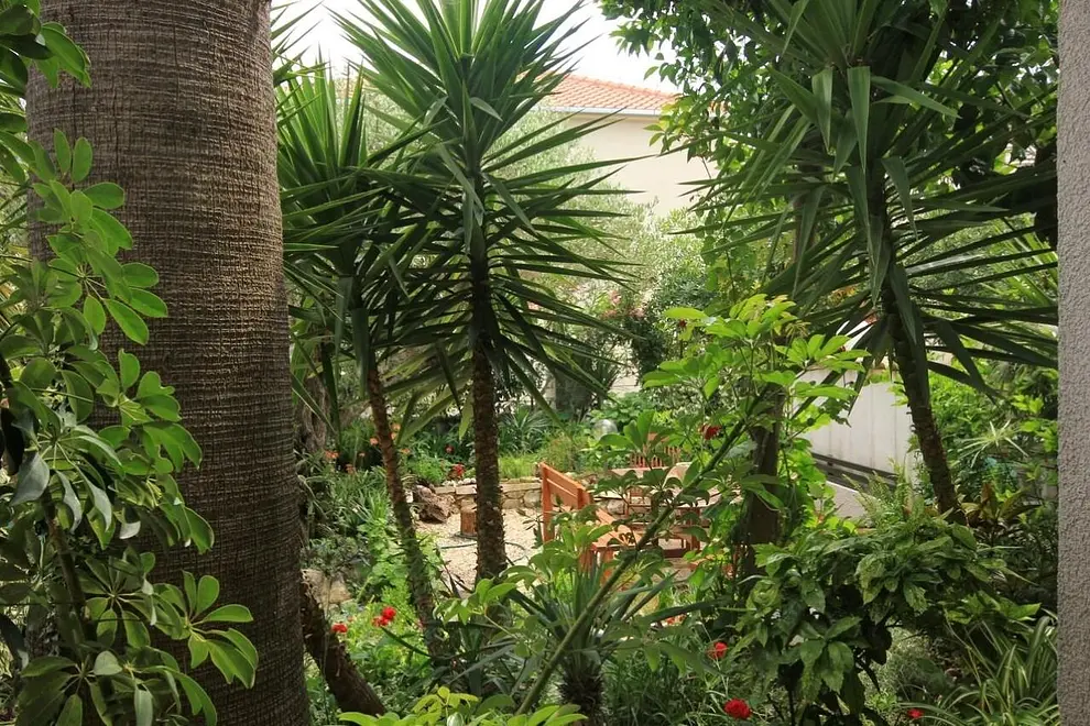 Ferienwohnung in Orebic haustiergeeignet 66156957 28781