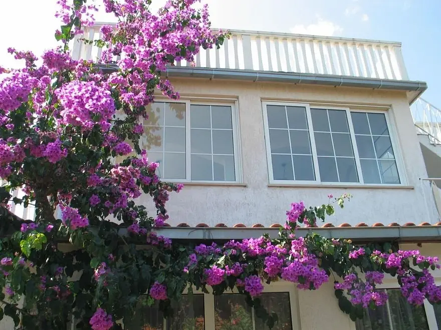 Ferienwohnung in Orebic  999211363 39139