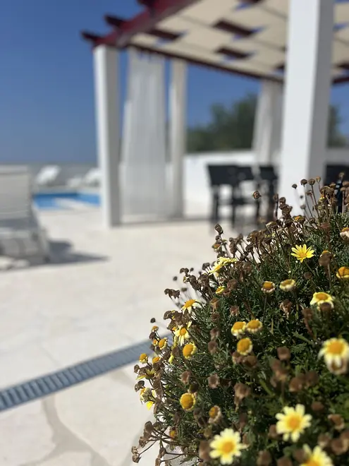 Ferienhaus in Benkovac mit Pool 999213514 40999 – Foto 34