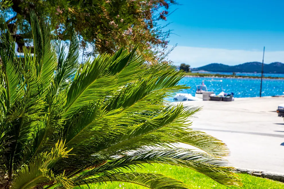 Ferienhaus in Biograd mit Pool 999208195 36172 – Foto 44