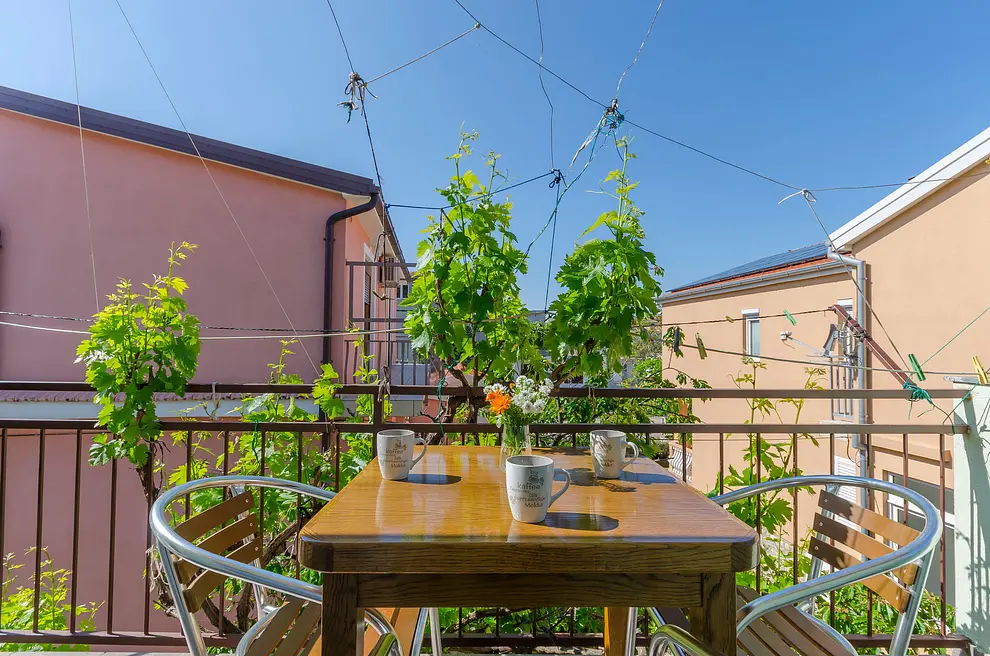 Ferienwohnung in Starigrad  66129183 15145