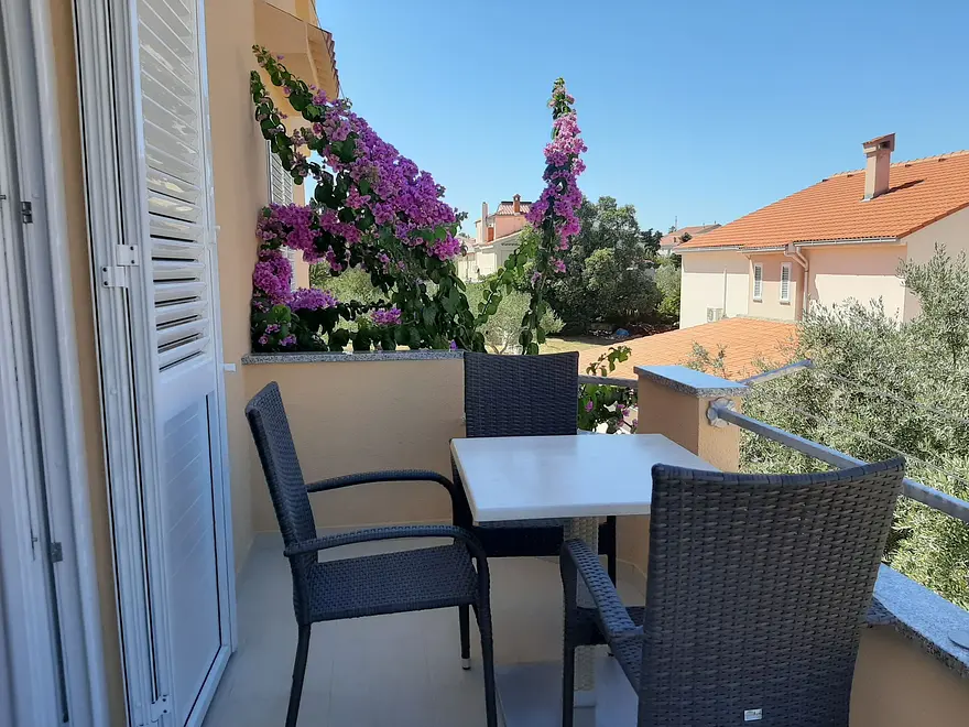 Ferienwohnung in Novalja haustiergeeignet 999204217 32427 – Foto 15