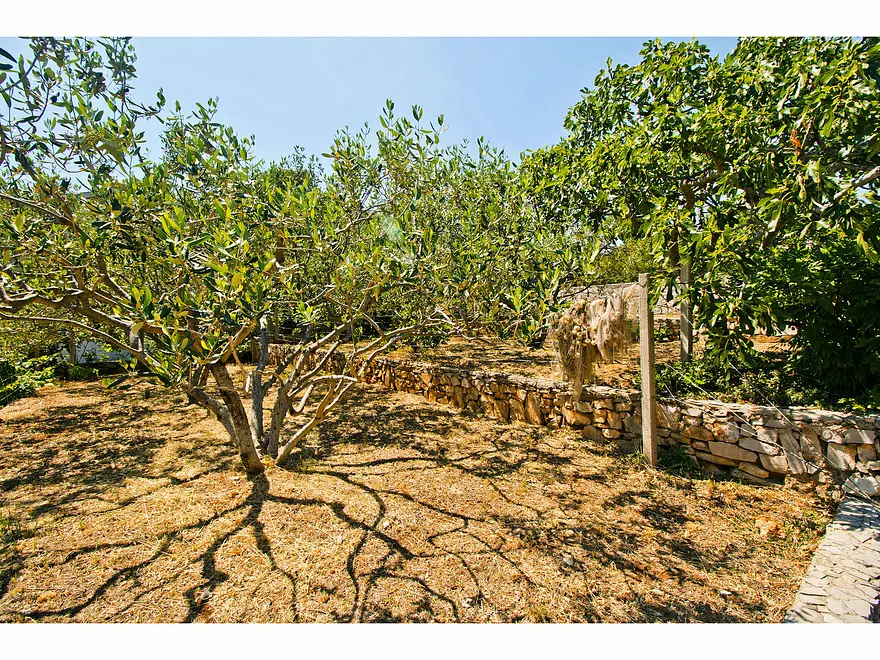 Ferienhaus in Solta mit Pool 999209463 37386 – Foto 36