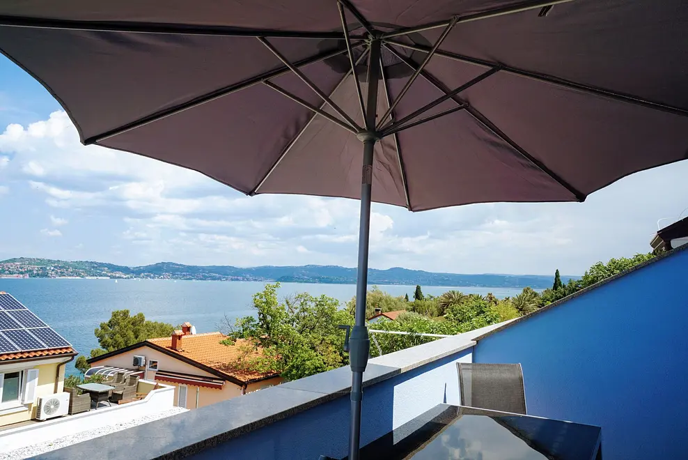 Ferienwohnung in Umag haustiergeeignet 66132648 17784