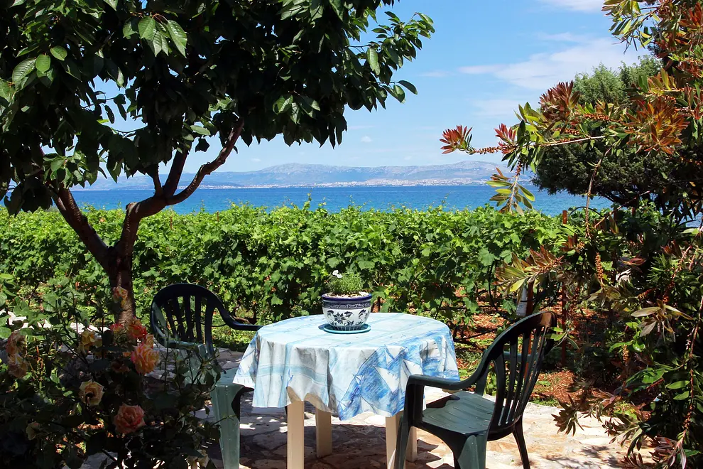 Ferienwohnung in Brac haustiergeeignet 66124387 11410