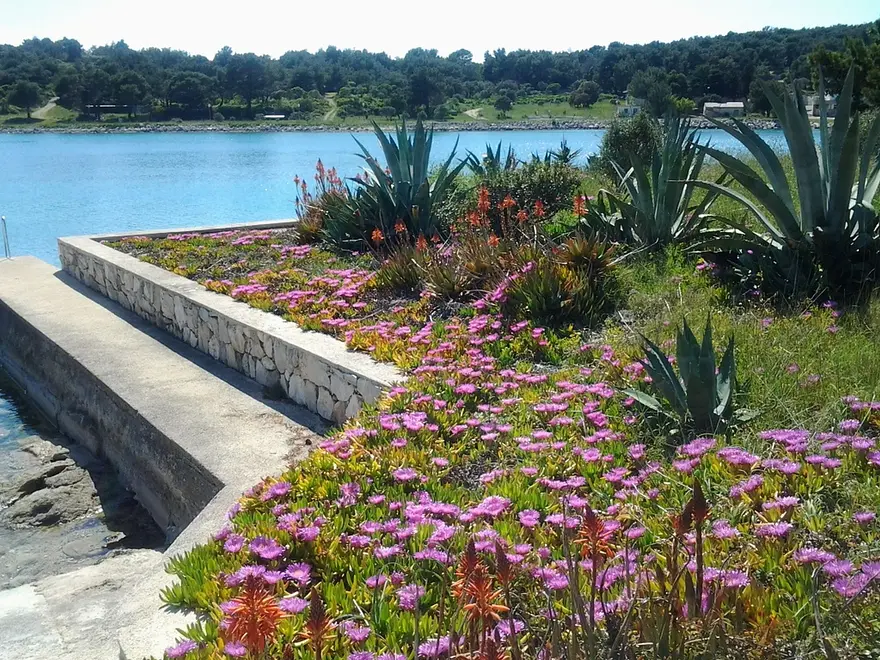 Ferienwohnung in Losinj  999207873 35882 – Foto 19