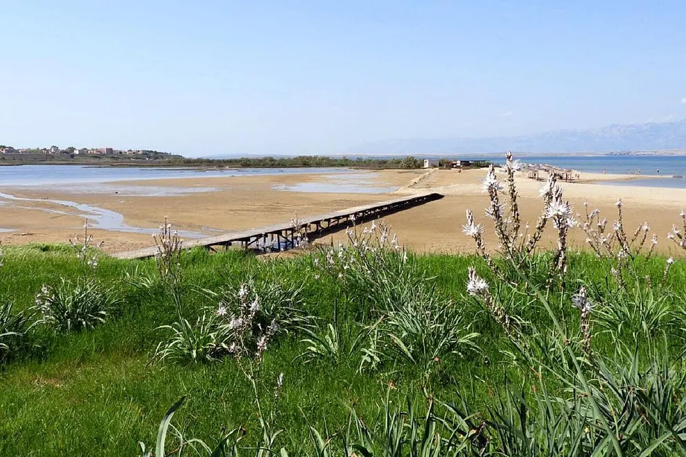 Ferienwohnung in Nin  66118456 6902