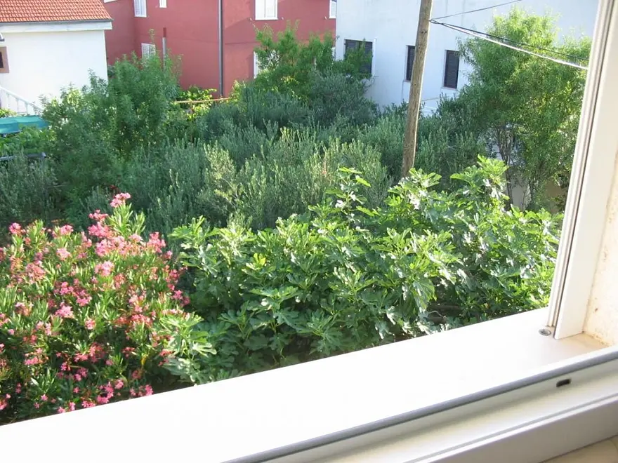 Ferienwohnung in Vodice  66154636 27966