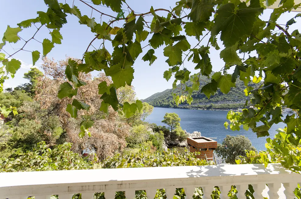 Ferienappartment in Mljet  999204032 32255 – Foto 3