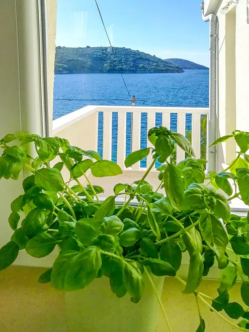 Ferienwohnung in Dugi Otok  999206592 34690 – Foto 16