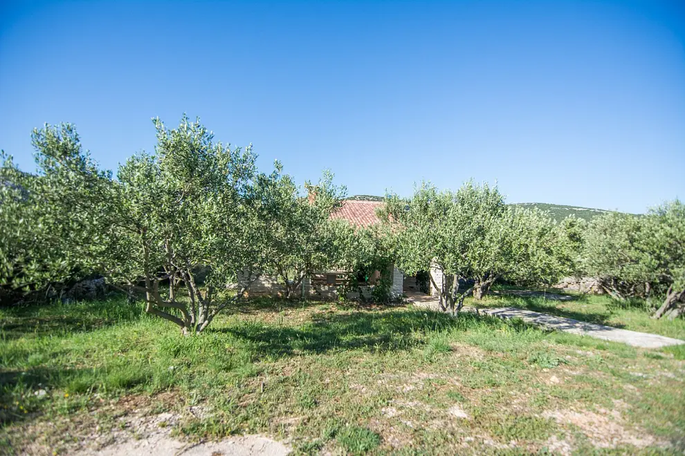 Ferienwohnung in Pirovac mit Pool 999208783 36737 – Foto 19