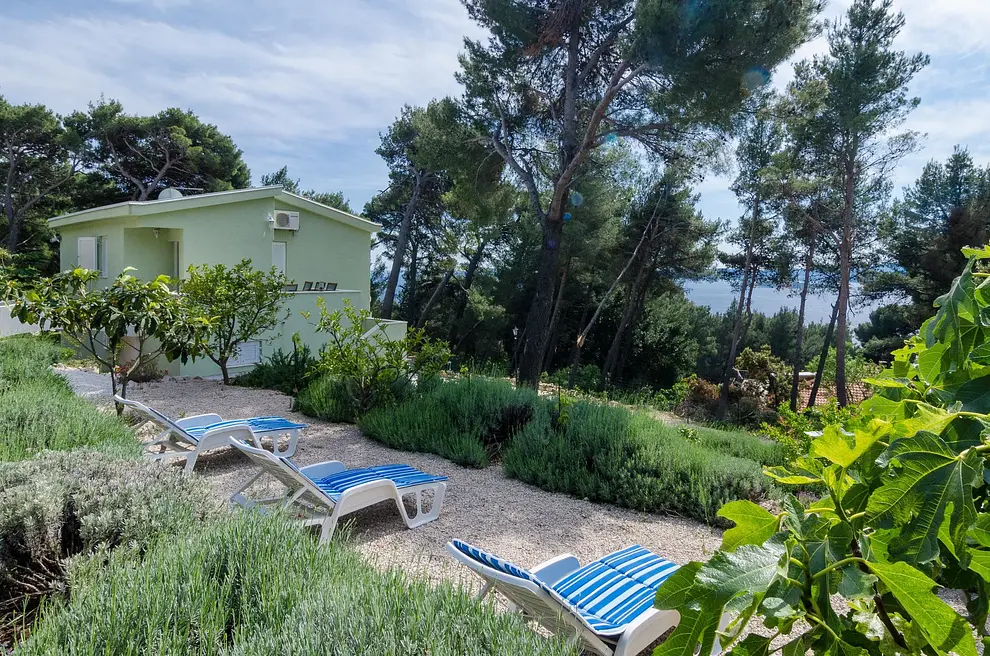 Ferienwohnung in Orebic haustiergeeignet 999204981 33153 – Foto 6