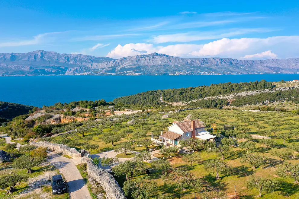 Ferienwohnung in Brac haustiergeeignet 6619702 3087