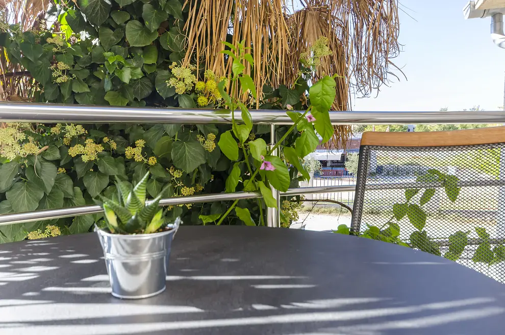 Ferienwohnung in Vodice  999205099 33267 – Foto 9
