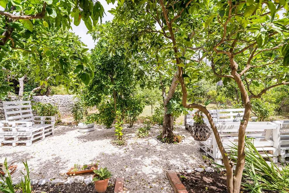 Ferienwohnung in Dubrovacko Primorje  999206419 34521 – Foto 6