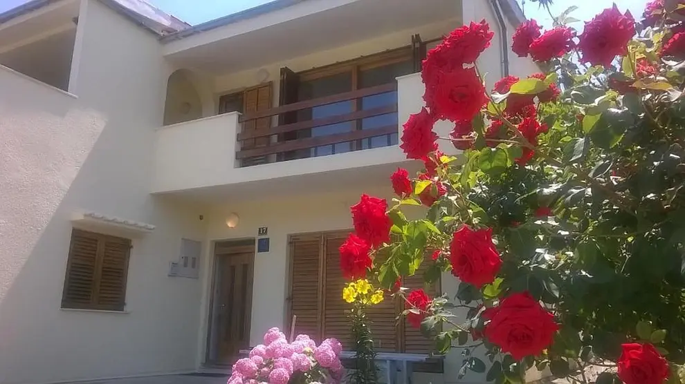 Ferienwohnung in Ploce haustiergeeignet 999212012 39728 – Foto 24