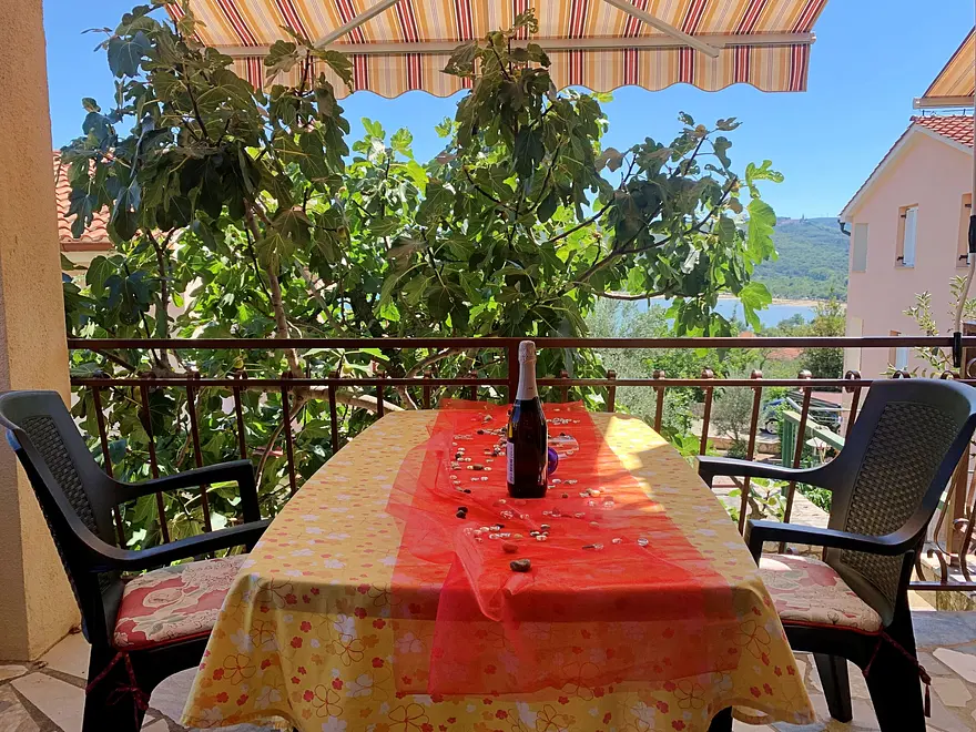 Ferienwohnung in Dobrinj haustiergeeignet 66121410 9223