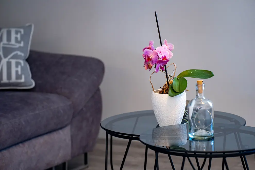 Ferienwohnung in Barbat  999237534 43093 – Foto 48
