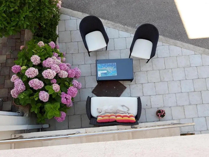 Ferienwohnung in Dubrovnik haustiergeeignet 66154467 27832