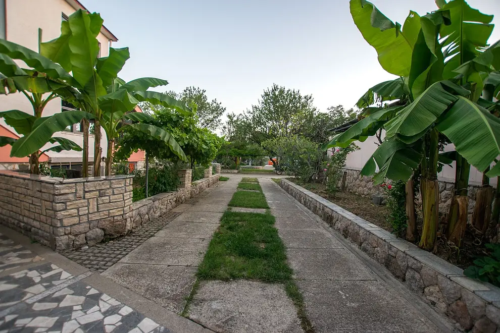 Ferienwohnung in Starigrad  66110821 3809