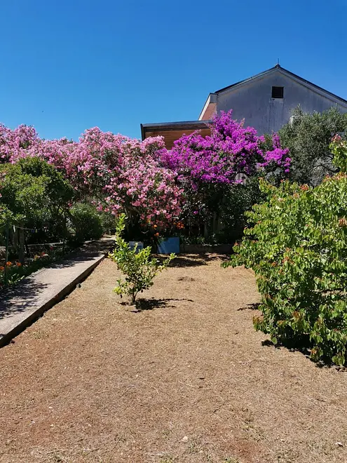 Ferienwohnung in Losinj  999207873 35882 – Foto 11