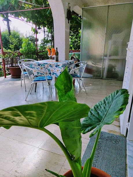 Ferienwohnung in Novi Vinodolski  999207988 35973 – Foto 20