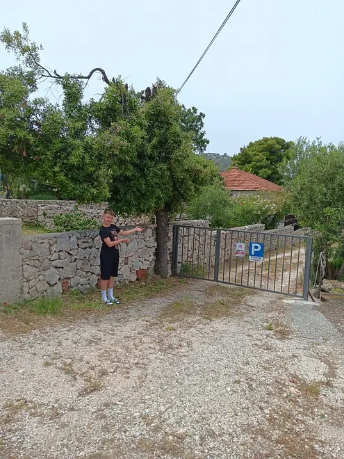 Ferienwohnung in Rogoznica  999205347 33511 – Foto 29