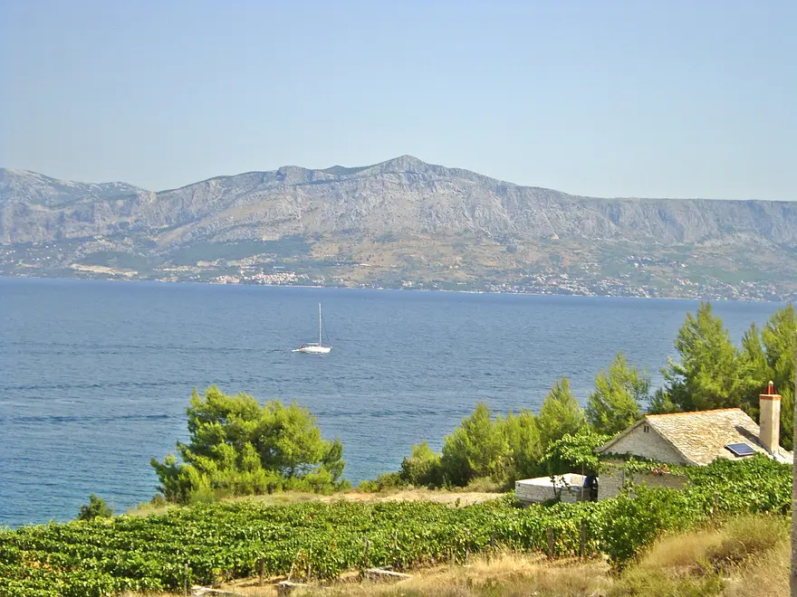 Ferienwohnung in Brac haustiergeeignet 999202903 31172 – Foto 16