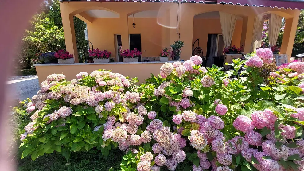 Ferienwohnung in Kampor  999229755 42647 – Foto 24