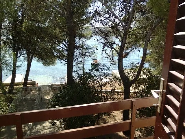 Ferienwohnung in Pag haustiergeeignet 66119517 7702