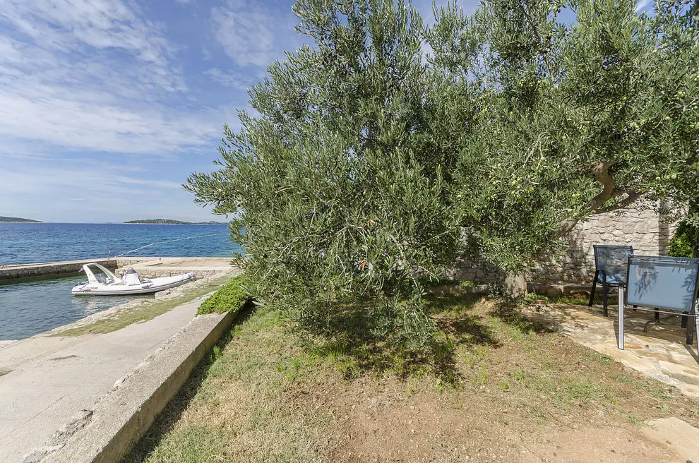 Ferienwohnung in Prvic Island  999208661 36616 – Foto 13